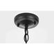 Harley 1 Light 7.5 inch Black Outdoor Pendant
