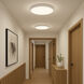Trim LED 16 inch White Flush Mount Ceiling Light