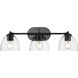 Roxie 3 Light 24.63 inch Matte Black Semi-Flush Mount Ceiling Light