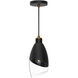 Alora Mood Capri Pendant Ceiling Light in Matte Black