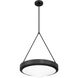 Agate 4 Light 20 inch Matte Black Pendant Ceiling Light