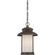 Bethany LED 10 inch Mahogany Bronze Outdoor Hanging Light