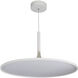 Salm 24 inch White Pendant/Chandelier Ceiling Light