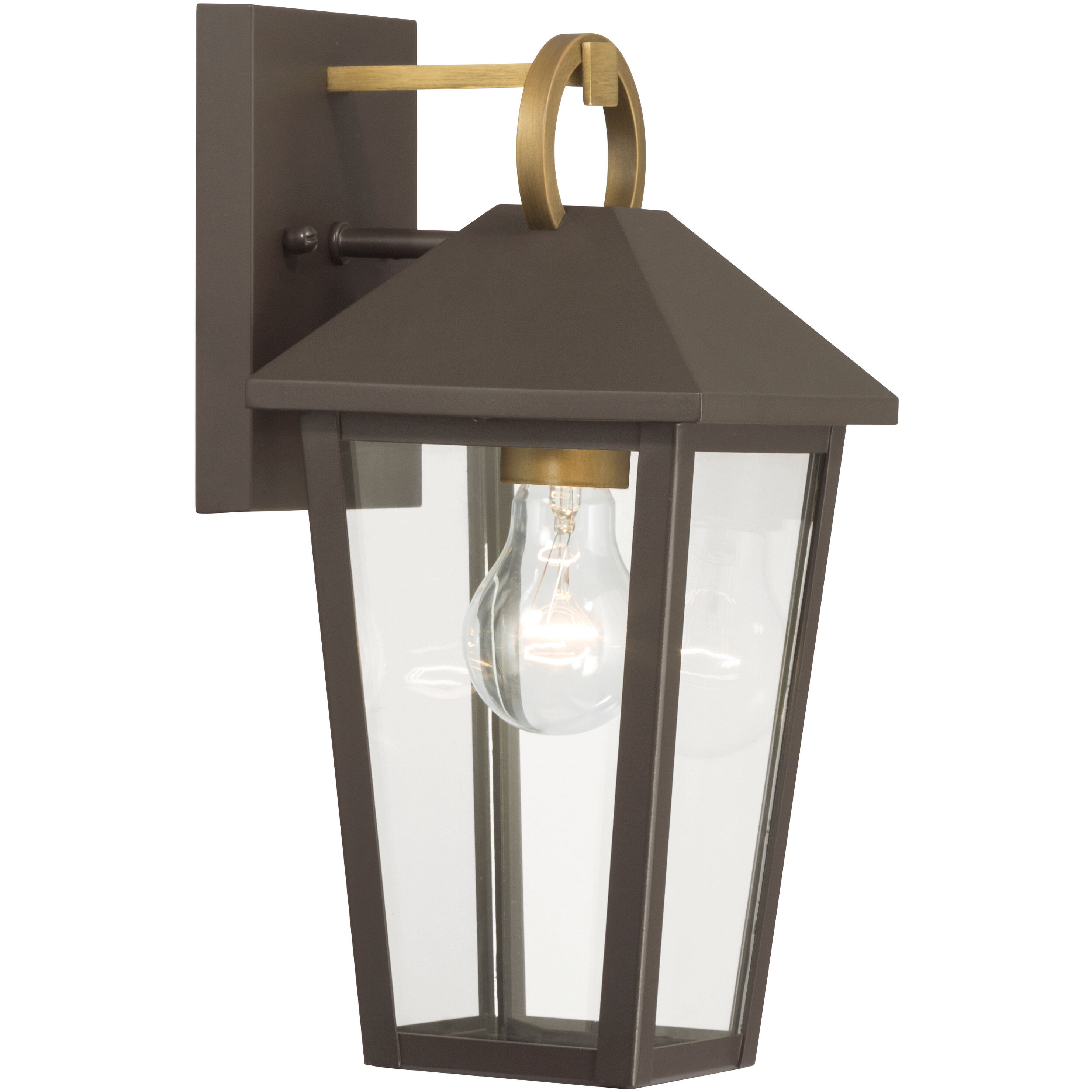 Bayra 1 Light 13 inch Painted Legacy Brass and Dark Bronze Outdoor Wall Lantern