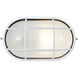 Nauticus 1 Light 4.25 inch White Outdoor Wall Sconce in Incandescent
