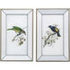 Bird Mirror Frame Print Multi Color Wall Art, Set of 2