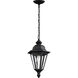 Brentwood 1 Light 10.25 inch Black Outdoor Pendant