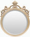 Osmond 25 X 19.5 inch Champagne Mirror, Arch/Crowned Top
