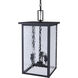 Shana 3 Light 11 inch Black Outdoor Pendant Light