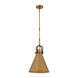 Fenric 1 Light 13.75 inch Legacy Brass and Dark Bronze Pendant Ceiling Light