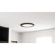Outskirts LED 20 inch Earth Black Flush Mount Ceiling Light, Large