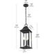 Shepard 3 Light 8 inch Black Outdoor Pendant