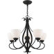 Brookside 5 Light 26 inch Black Chandelier Ceiling Light