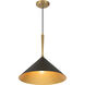 Cortan 1 Light 16 inch Legacy Brass and Dark Bronze Pendant Ceiling Light