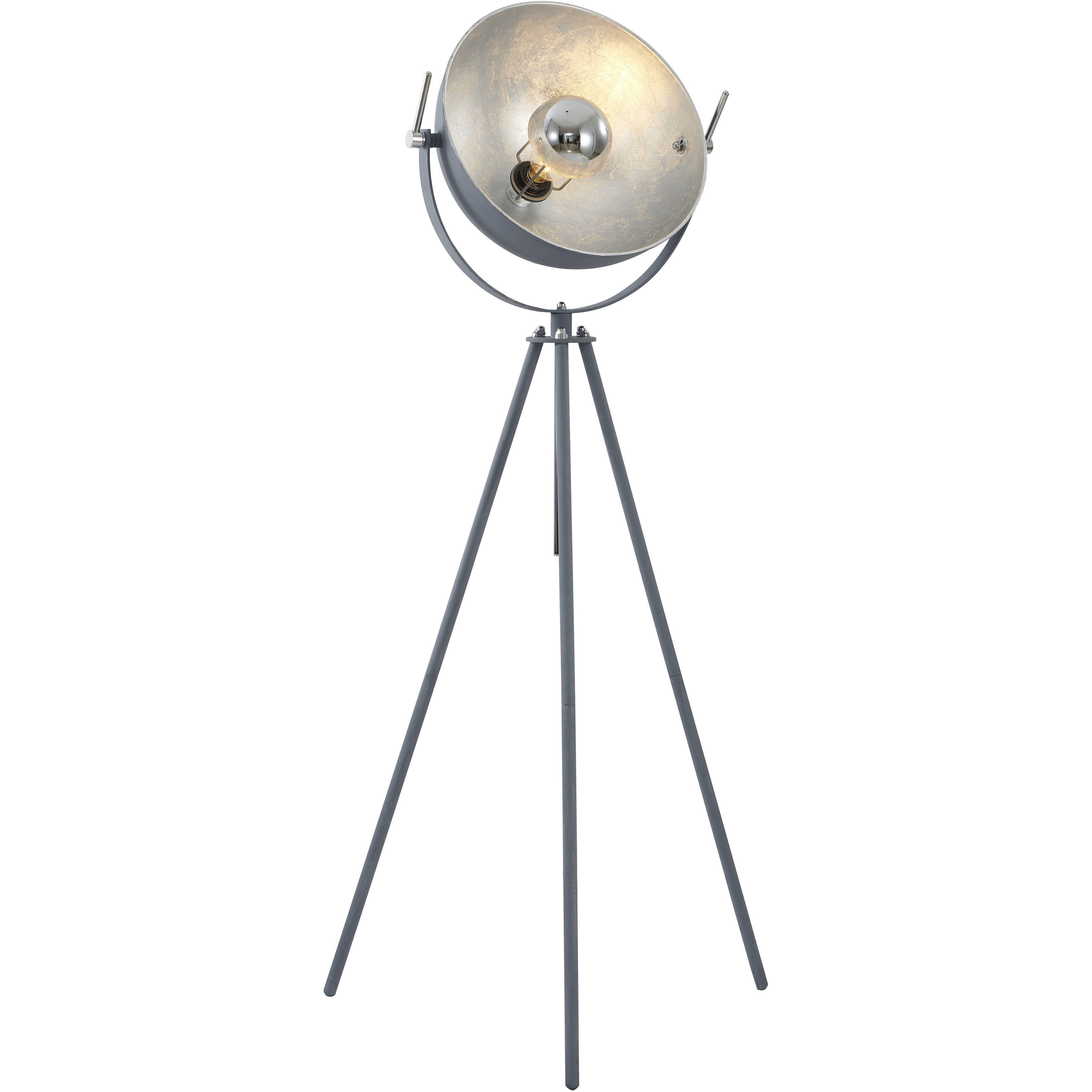 Canada 1 Light 27.00 inch Floor Lamp
