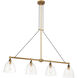 Sommersby Island Light Ceiling Light in Legacy Brass and Matte Coal