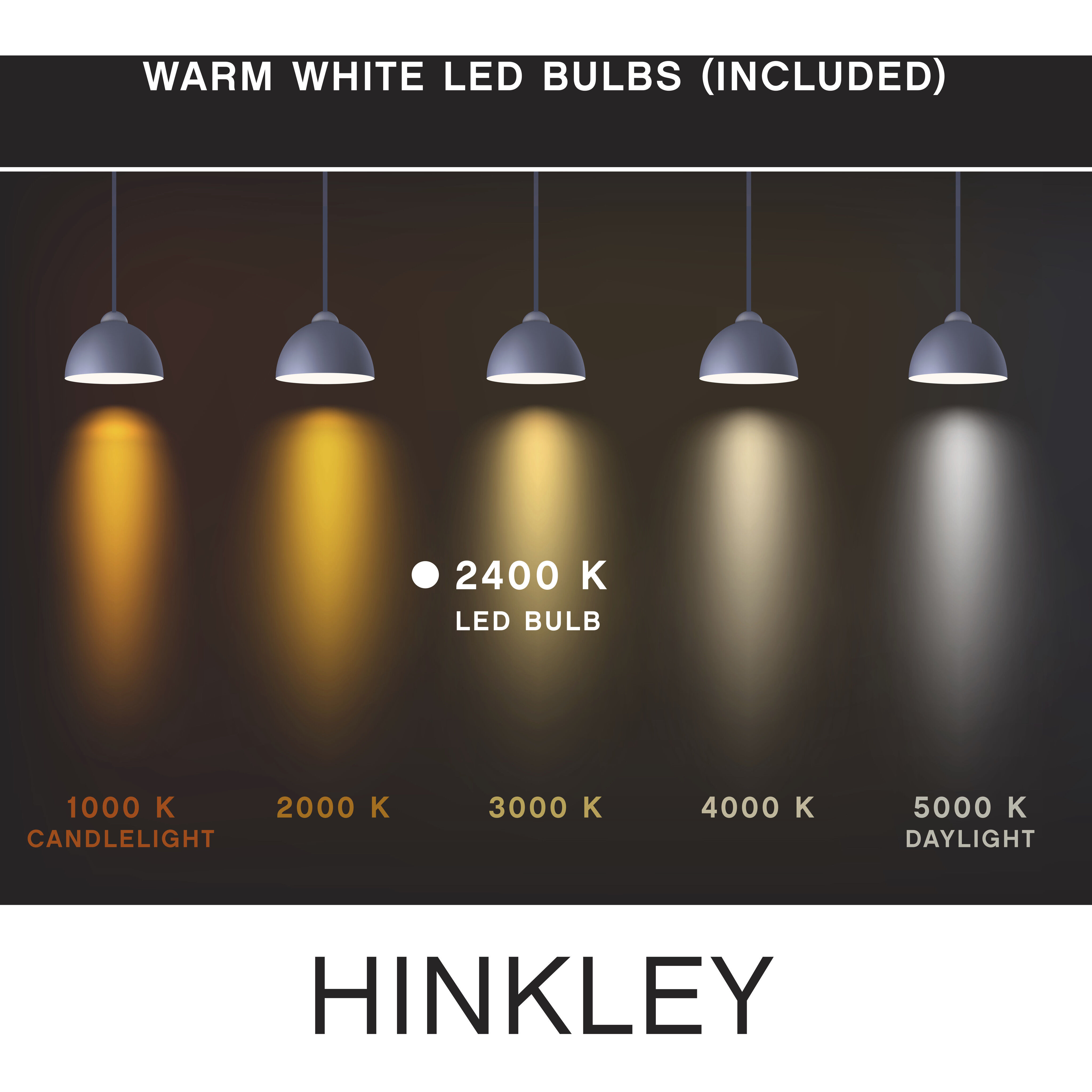 LumiGlo Med. 4.00 watt 120v 2400 LED Bulb