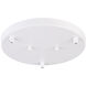 Leo 11 inch White Multi Ceiling Canopy Ceiling Light