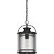 Booker 1 Light 11 inch Mystic Black Hanging Lantern Ceiling Light