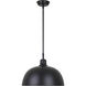 Polo 1 Light 16 inch Black Pendant Lighting Ceiling Light