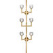 Parisian 6 Light 7 inch Aged brass Wall Sconce Wall Light