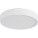 Rynn 5.25 inch White Flush Mount Ceiling Light