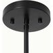 Lodi LED 13 inch Matte Black and Walnut Pendant Ceiling Light