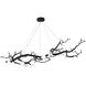 CC Series 15 Light 32.5 inch Black Chandelier Ceiling Light