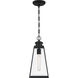 Paxton 1 Light 7 inch Matte Black Outdoor Hanging Lantern