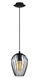 Newtown 1 Light 6.3 inch Matte Black Pendant Ceiling Light