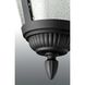 Westport 1 Light 9 inch Textured Black Outdoor Flush Mount in Bulbs Not Included, Clear Seeded