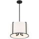 Carlyn 4 Light 16 inch Black Mini Chandelier Ceiling Light