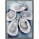 Five Oysters Four Oysters Blue and White and Multi and Gray Canvas, Propac