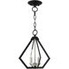 Prism 2 Light 11 inch Black with Brushed Nickel Cluster Convertible Semi Flush/Pendant Ceiling Light