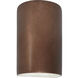 Ambiance Cylinder LED 9.5 inch Antique Copper Outdoor Wall Sconce, Small