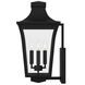 Quentin 4 Light 20 inch Earth Black Outdoor Wall Lantern, Large
