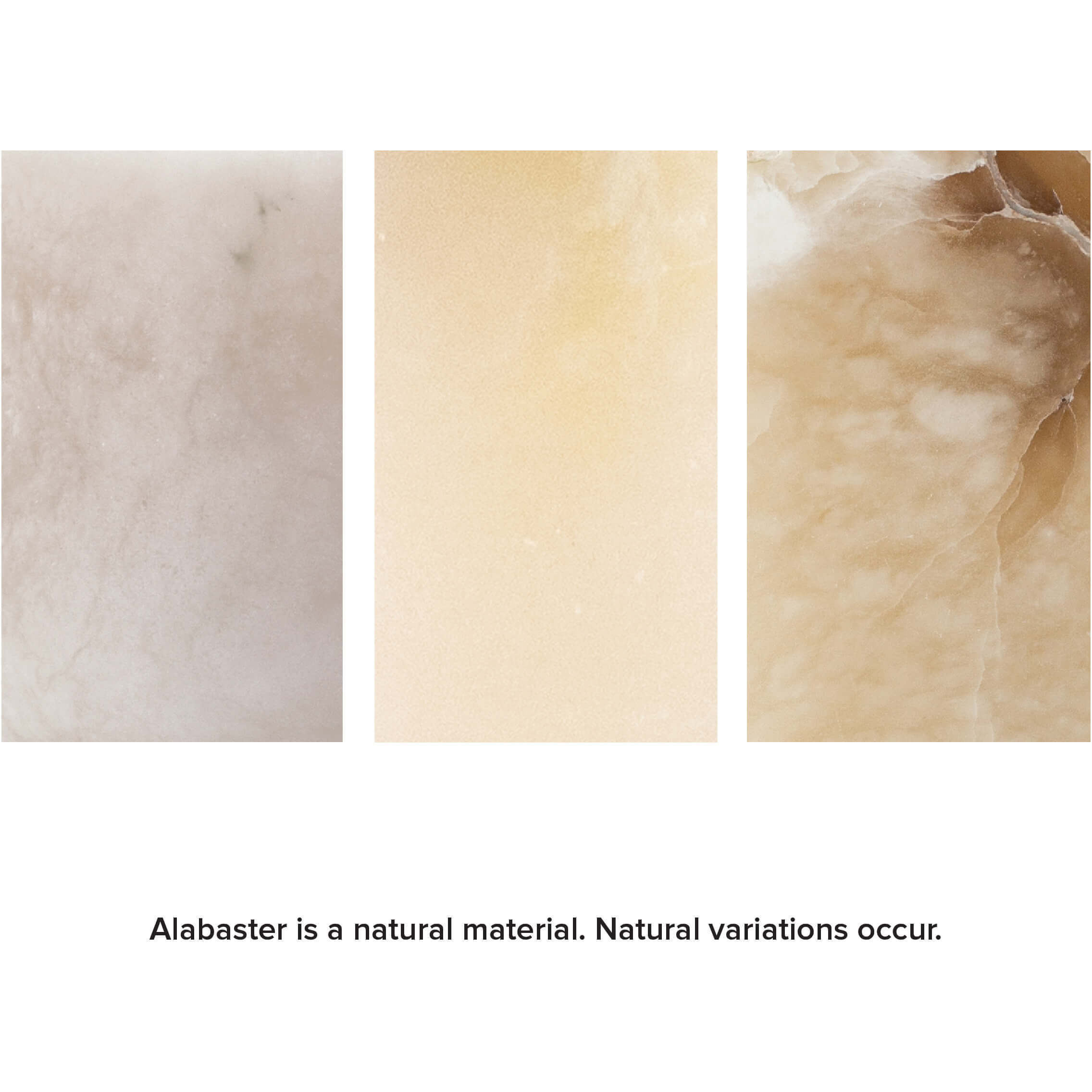 Salon LED 5 inch Oil Rubbed Bronze Wall Sconce Wall Light, Large