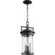 Dimas 3 Light 8 inch Noir Outdoor Pendant