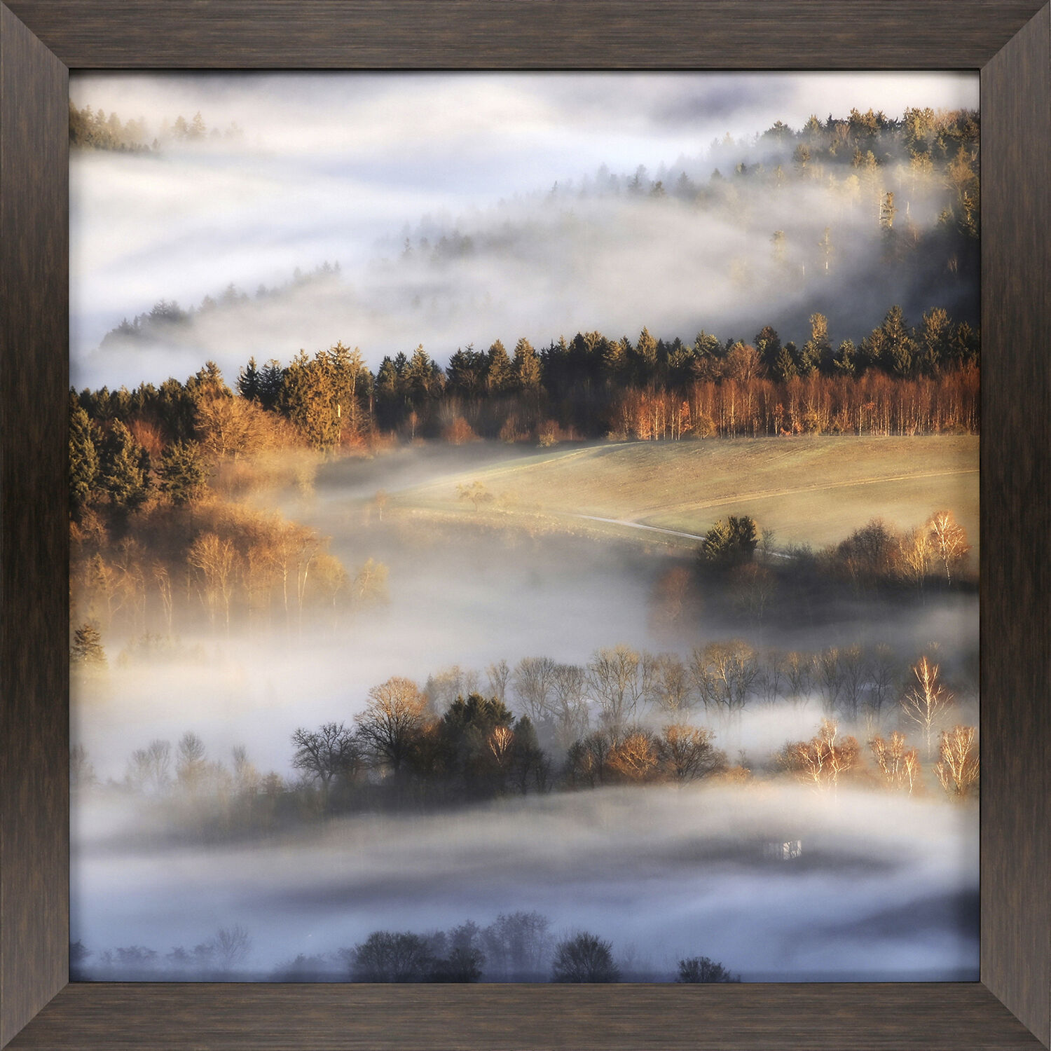 Landscapes Brown and Orange and Rust and White Framed Art