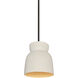 Radiance Collection LED 8 inch Matte White and Champagne Gold with Brushed Nickel Pendant Ceiling Light