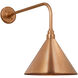 Thomas O'Brien Academy Barn Light LED 19.75 inch Soft Copper Rex Barn Light in 12.5" Soft Copper Conical Savannah Shade