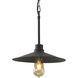 Clayton 1 Light 12 inch Dark Coffee Pendant Ceiling Light
