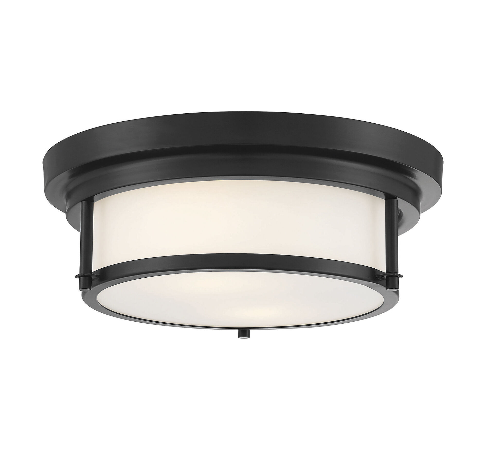 Contemporary 2 Light 13 inch Matte Black Flush Mount Ceiling Light