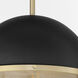 Fort Worth 1 Light 14.75 inch Textured Black with Aged Brass Pendant Ceiling Light