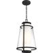Anau 1 Light 10.5 inch Matte Black and Glass Outdoor Hanging Lantern