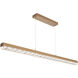 Tessera LED Novel Brass Linear Pendant Ceiling Light in PavT Cast