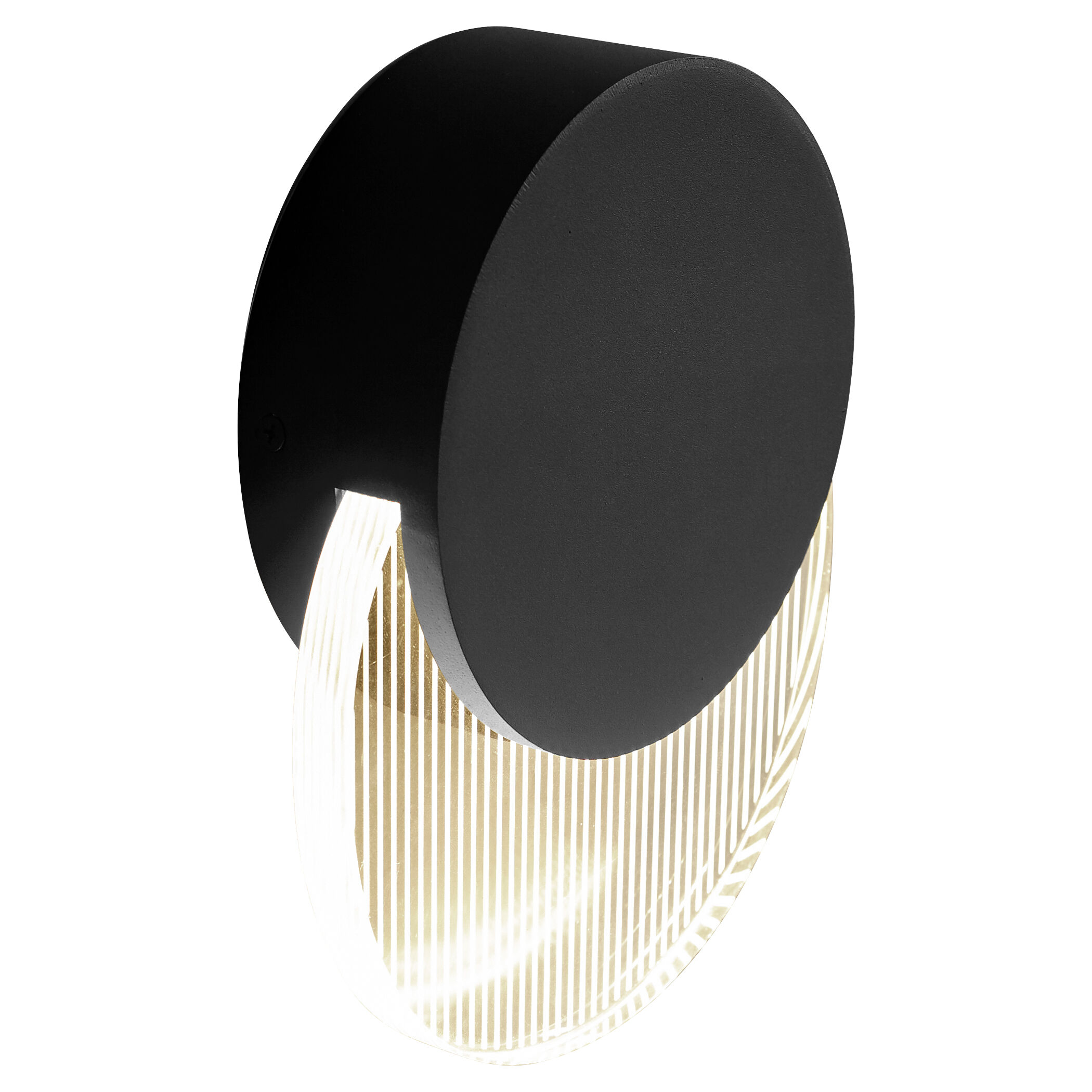 Pavo 1 Light 8 inch Black Outdoor Wall Sconce