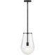 Beck 9 inch Black Indoor Pendant Ceiling Light