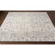 Makalu 36 X 24 inch Beige Rug in 2 x 3, Rectangle