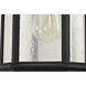Raiden 14 inch Matte Black Outdoor Wall Lantern, Small